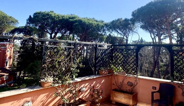 "The Great Beauty" Penthouse. Cozy bright apartment in the green of Rome