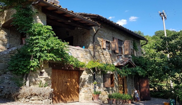 Traditional Tuscan house with Exclusive Use of House, Garden, Pool and Grounds