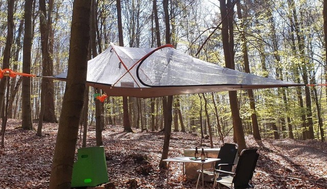 Tree tent beech - Baumhaushotel Solling in Uslar