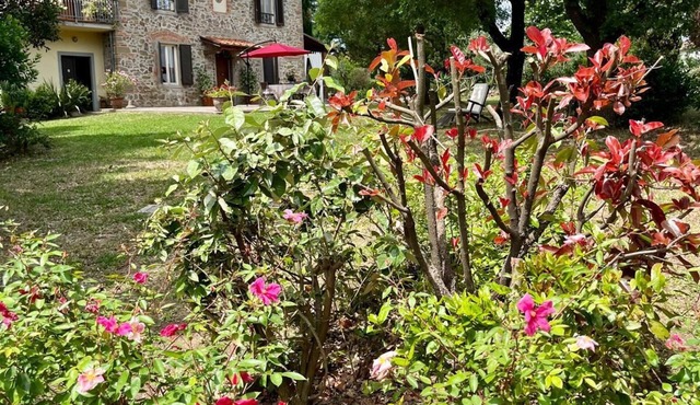 Tuscan country house with a swimming pool; dog-friendly