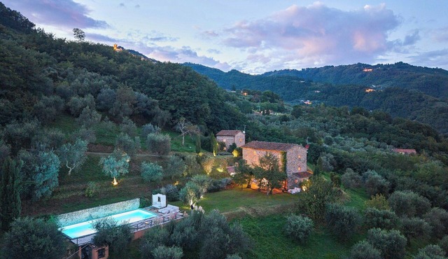 Tuscan villa with pool and 300 olive trees