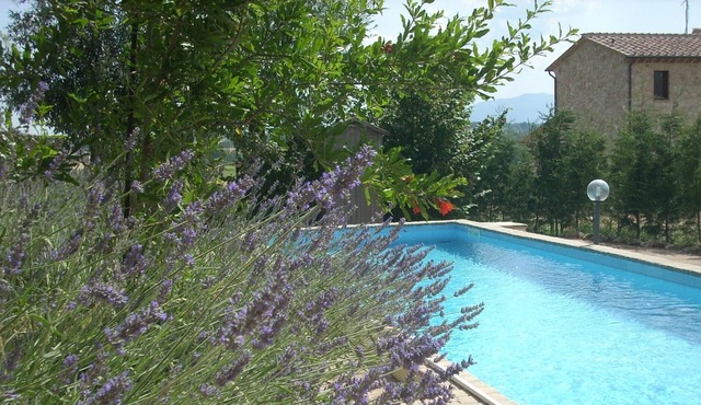 Two farmhouses in nature ... with swimming pool