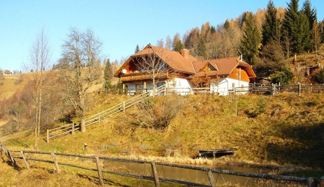 Ultimate Tranquillity at 1,100m - the Austrian Alm in buggl in bach