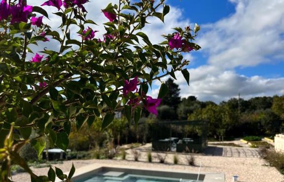 Villa Ada-Trulli Puglia