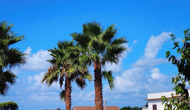 "VILLA MARECHIARO" - beach=100m/train>Rome 340m,n1000sqm garden, ~110sqm living