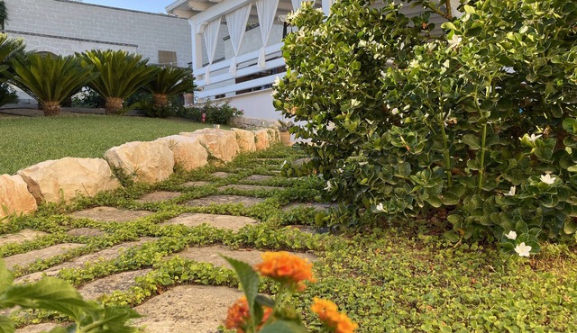 Villa surrounded by greenery