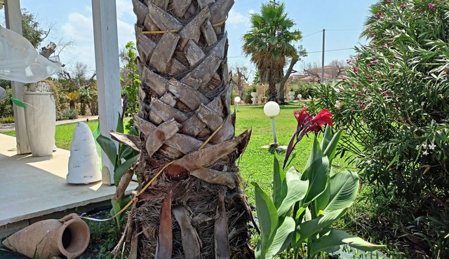 Villetta bifamiliare con piscina