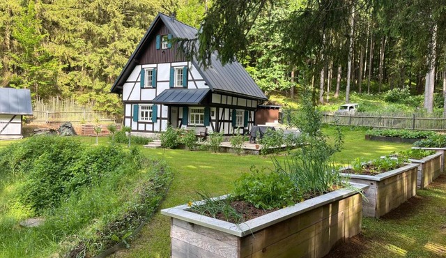 Waldhaus in Markneukirchen