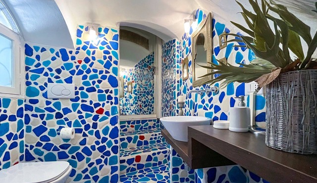 Wonderful apartment in Campo de'fiori with beautiful garden
