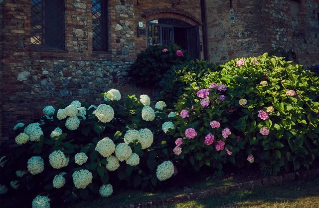 Agriturismo il poderaccio Gaia apartment in Siena in Siena