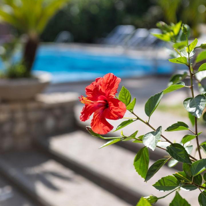 Piano di Sorrento Hotel | Sorrento luxury