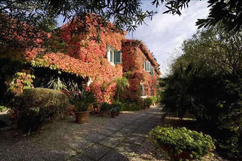 Photo of Buildings in Castel Gandolfo