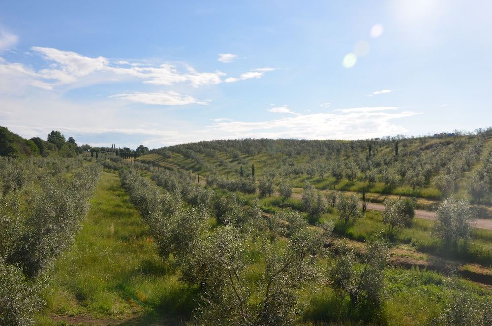 Photo of Outdoor in Farnese