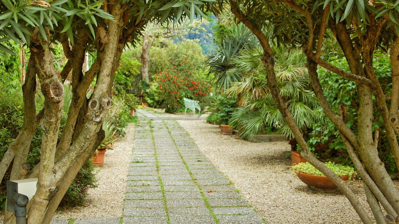 Photo of Others in Castel Gandolfo