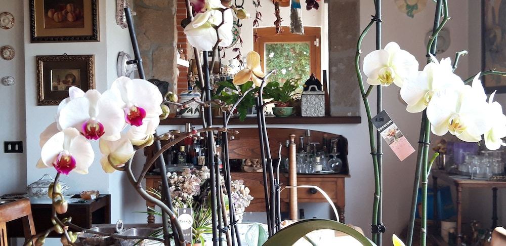 Photo of Livingroom in Ardea
