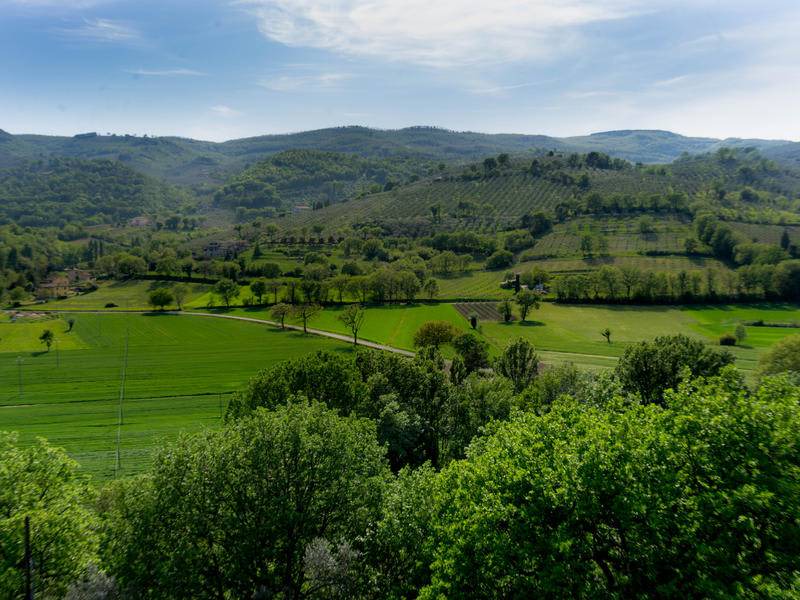 Photo of Others in Torre del Colle