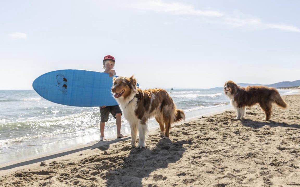 Photo of Others in Marina di Grosseto