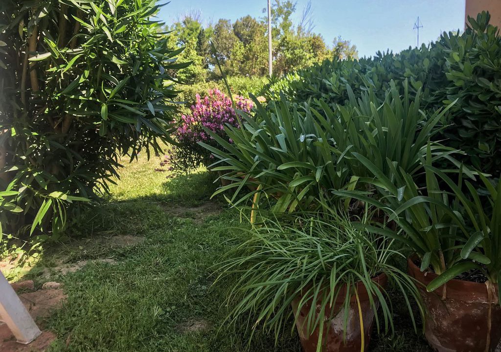 Photo of Outdoor in Santa Liberata