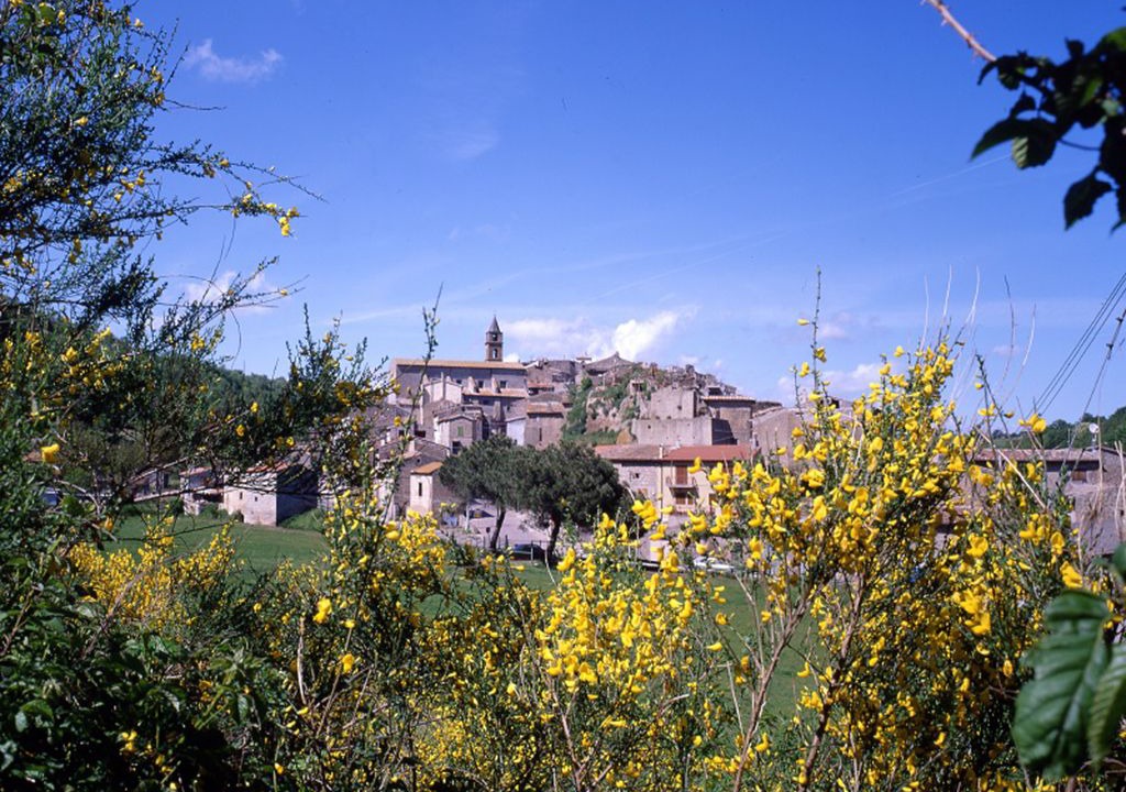 Photo of Others in Piansano