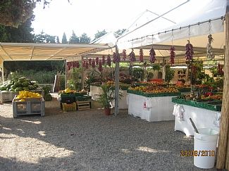 Photo of Others in Pizzo