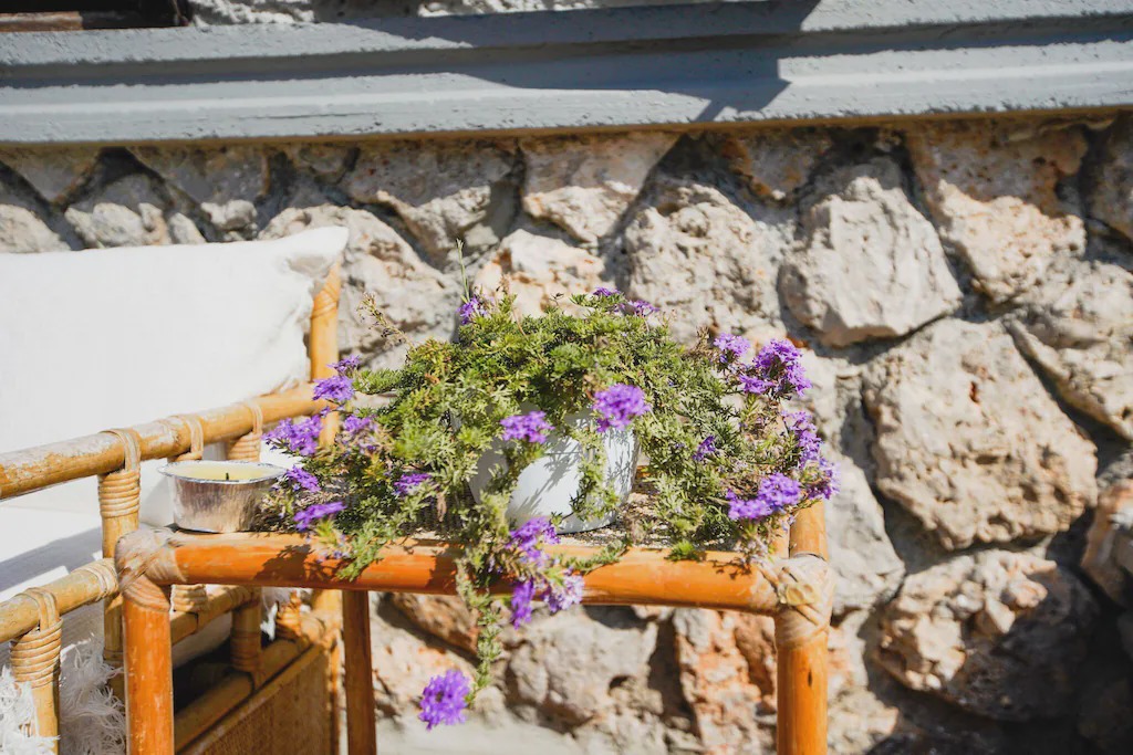 Photo of Others in Ansedonia