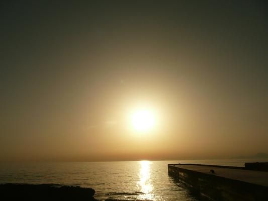 Photo of Others in Alani