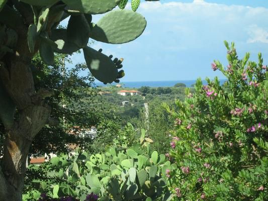 Photo of Outdoor in Alani