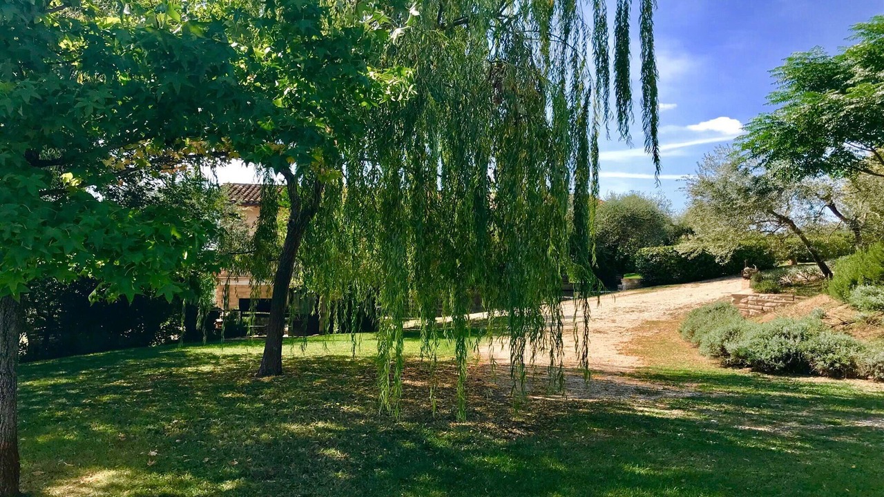 Photo of Outdoor in Spoleto