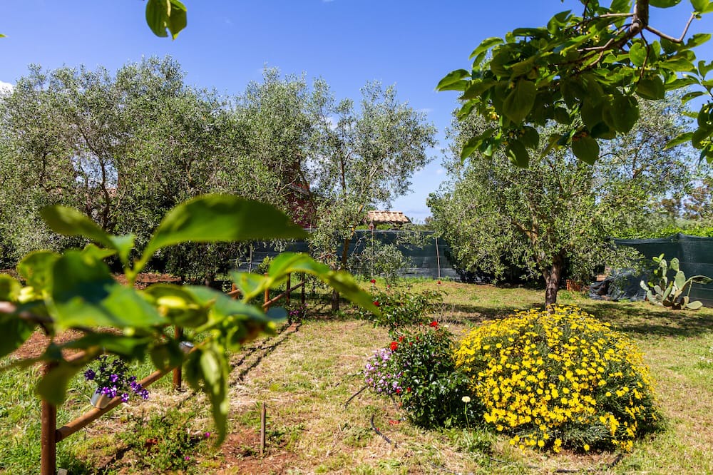 Photo of Outdoor in Orbetello
