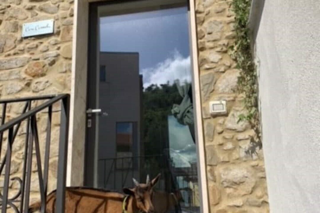 Photo of Outdoor in Sessa Cilento