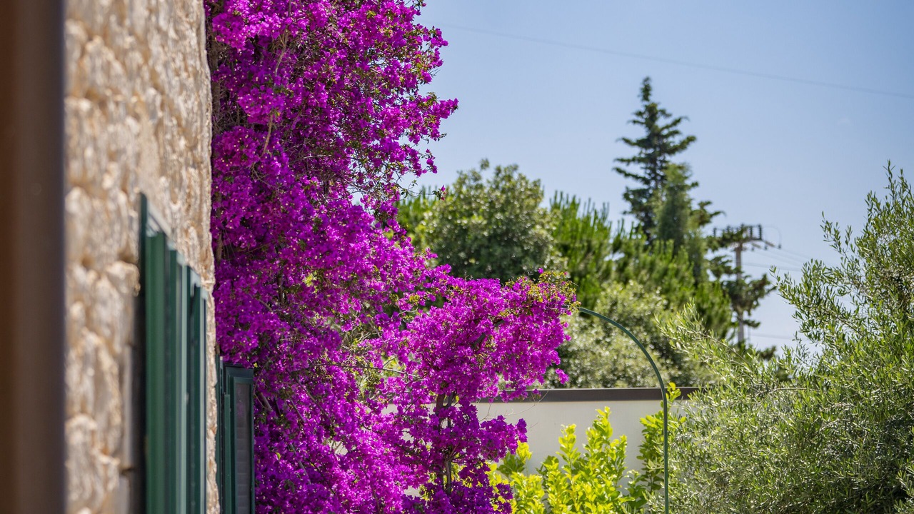 Photo of Outdoor in Conversano