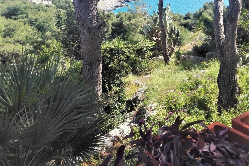 Photo of Outdoor in Santa Caterina
