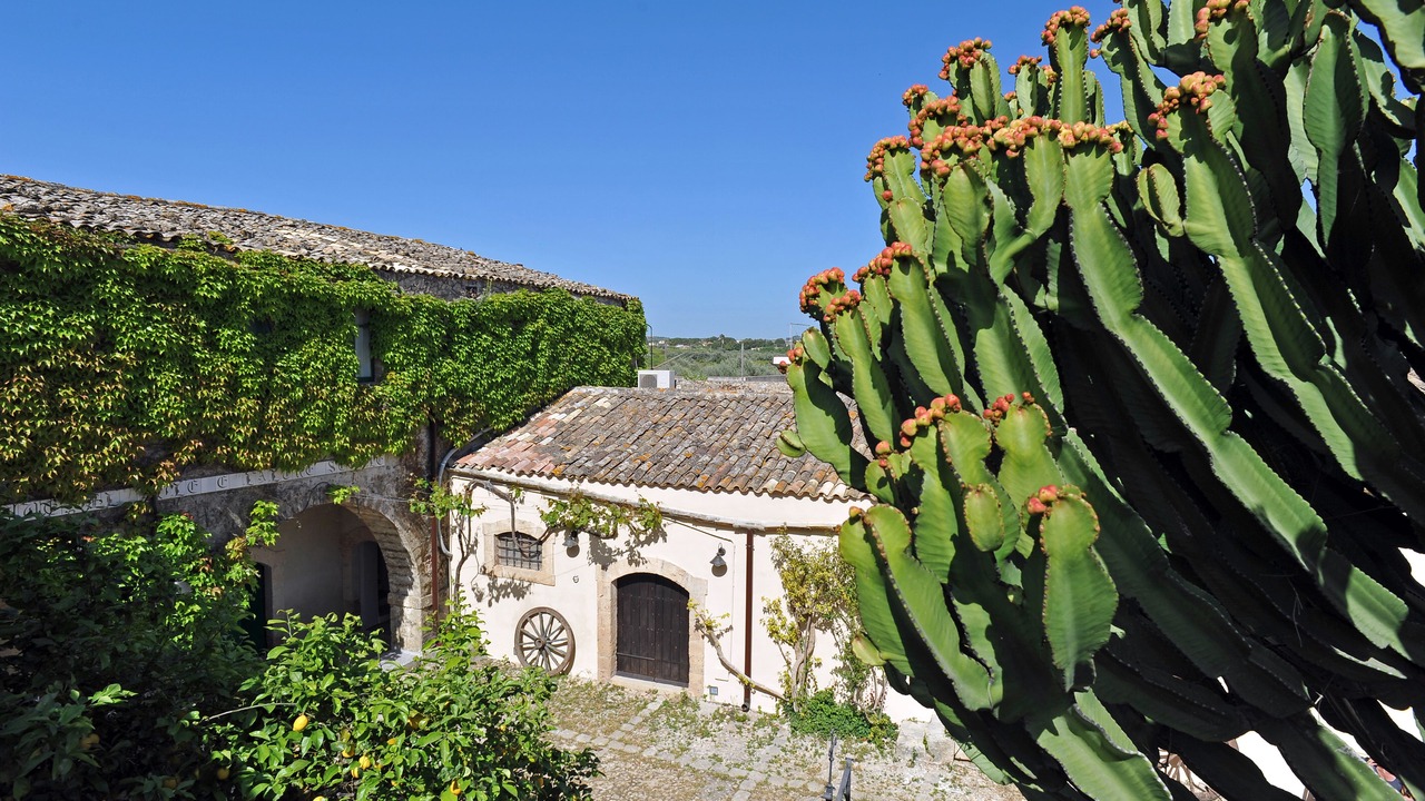 Photo of Outdoor in Noto Marina