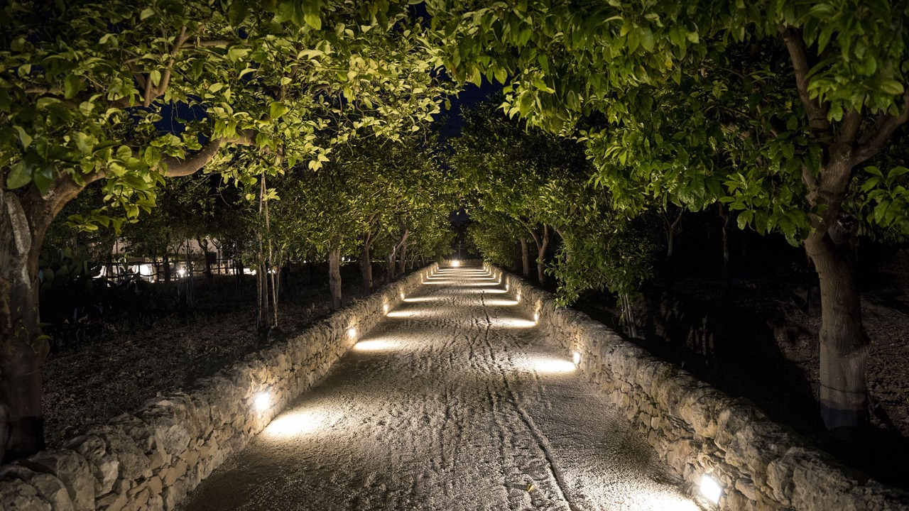Photo of Outdoor in Noto Marina