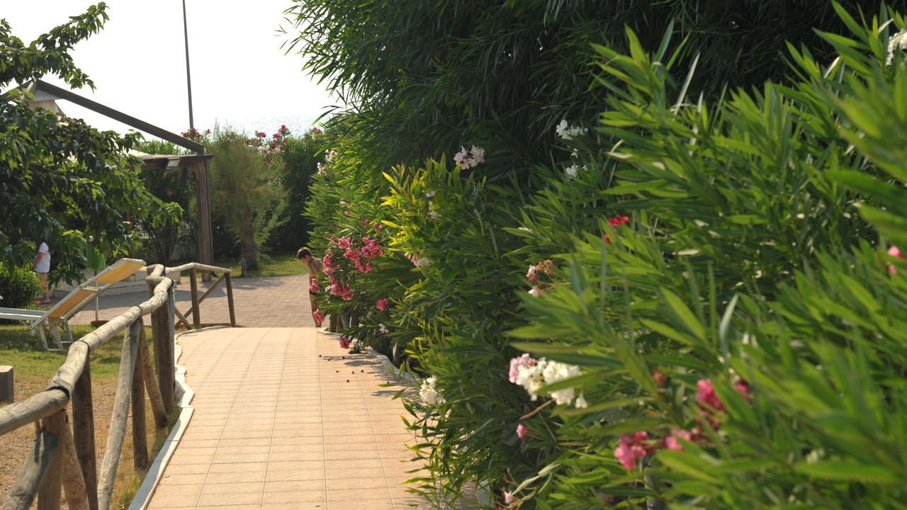 Photo of Outdoor in Torricella
