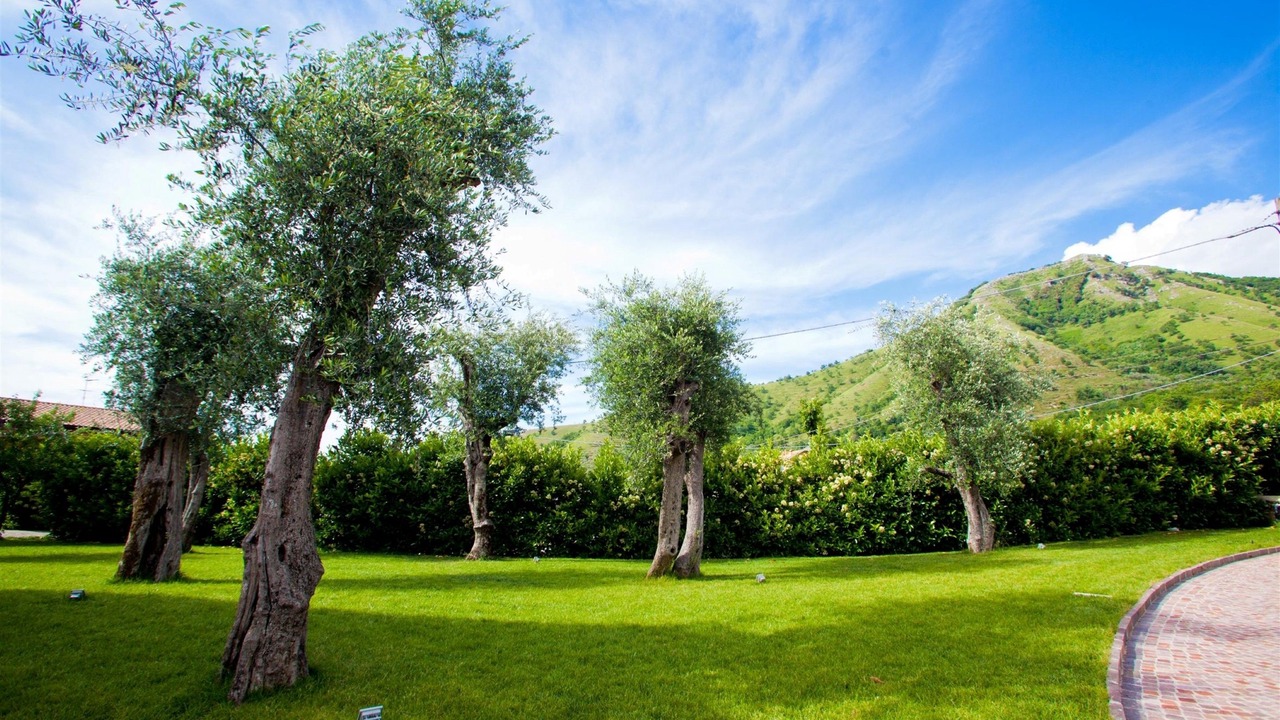 Photo of Outdoor in Baronissi