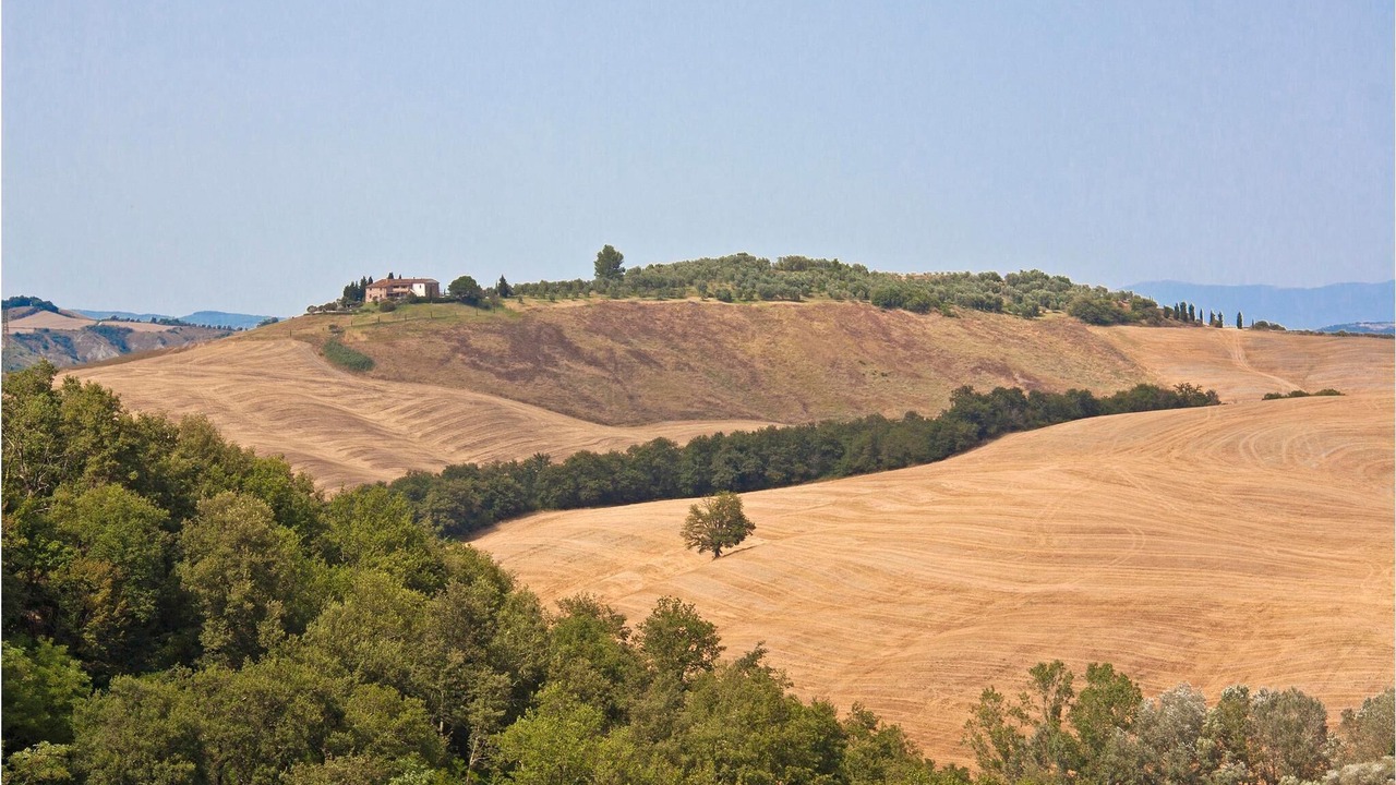 Photo of Others in Monteroni d'Arbia