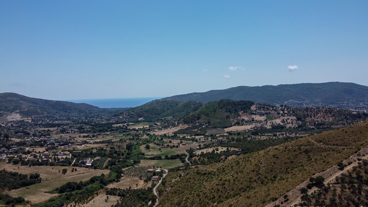 Photo of Others in Perdifumo