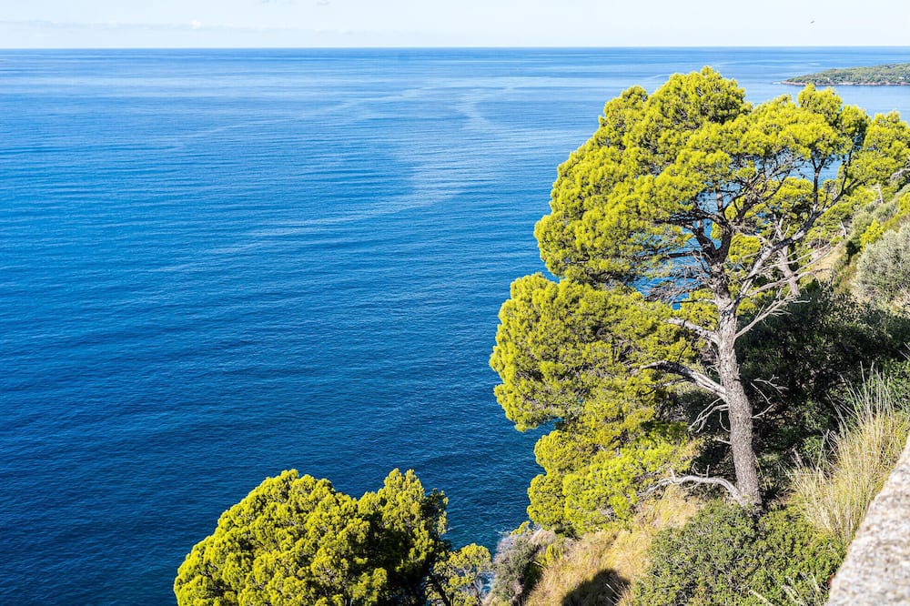 Photo of Outdoor in Pollica