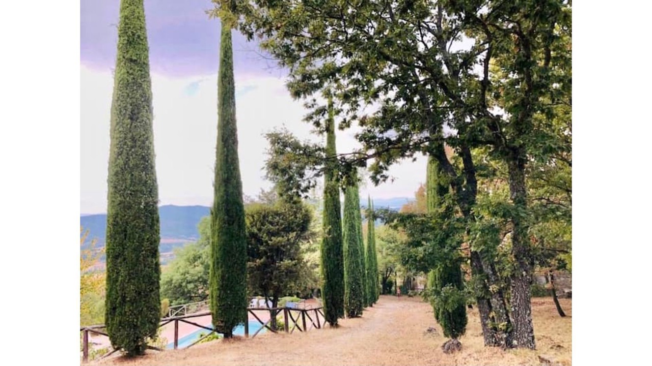 Photo of Others in Piegaro