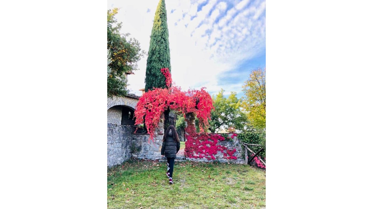 Photo of Outdoor in Piegaro