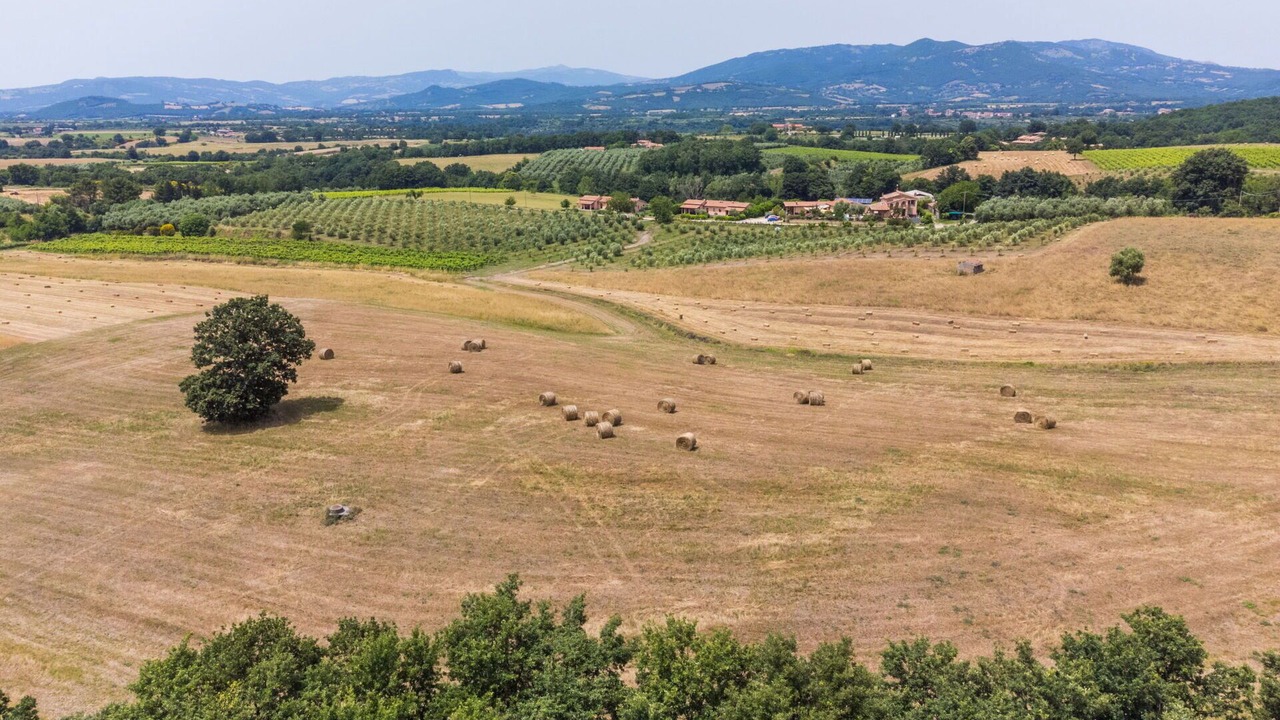 Photo of Outdoor in Sorano