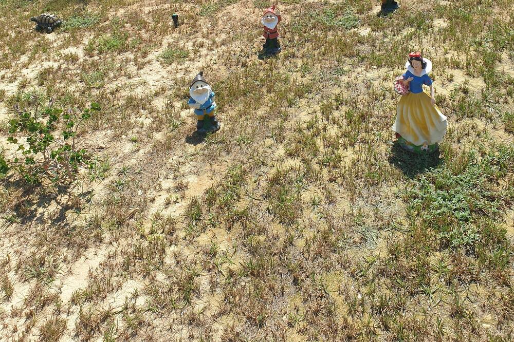 Photo of Others in Leverano