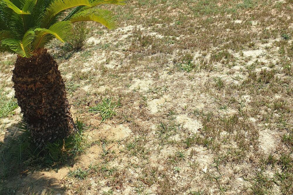 Photo of Outdoor in Leverano