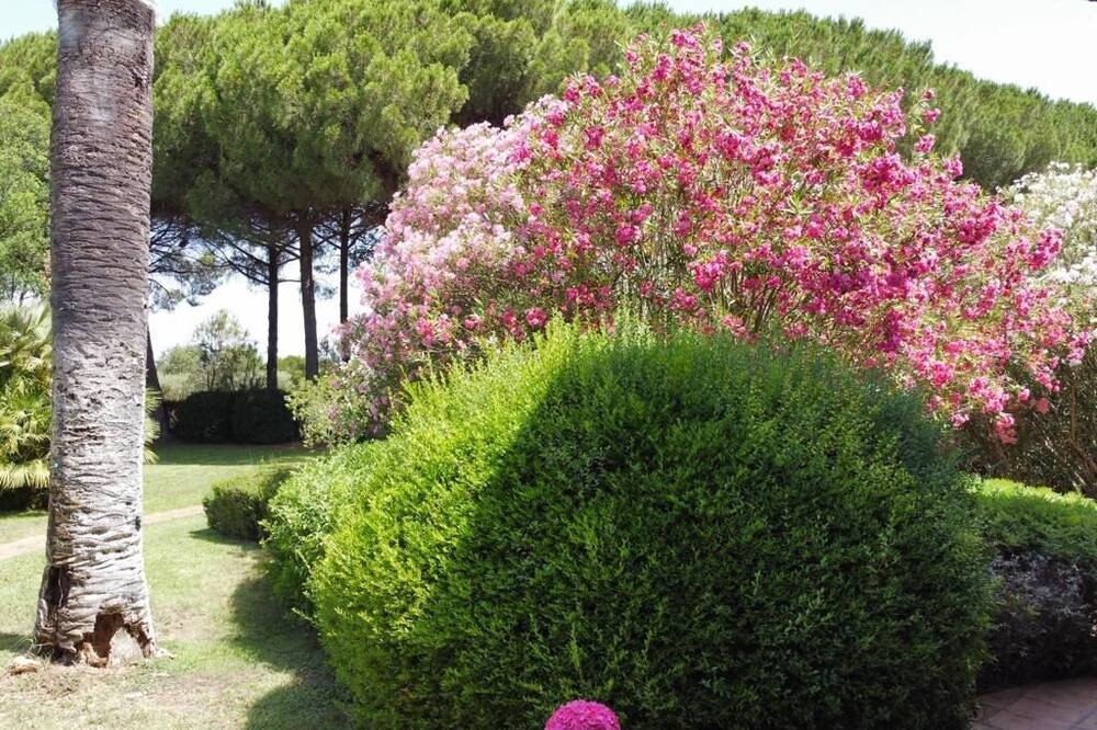 Photo of Outdoor in Orbetello