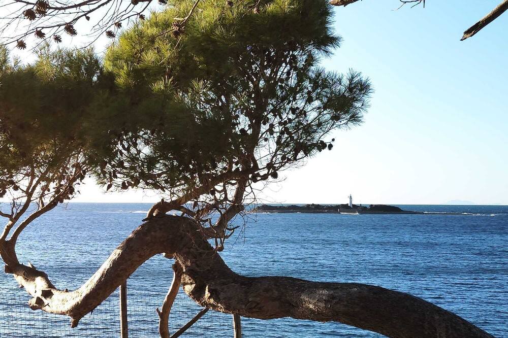 Photo of Others in Ogliastro Marina