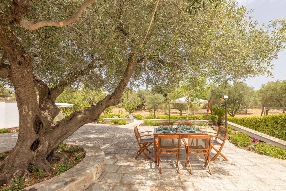 Photo of Outdoor in Ostuni