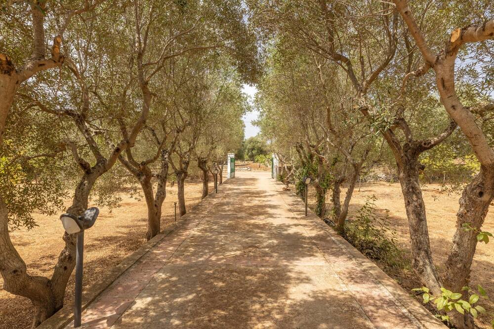 Photo of Outdoor in Ostuni