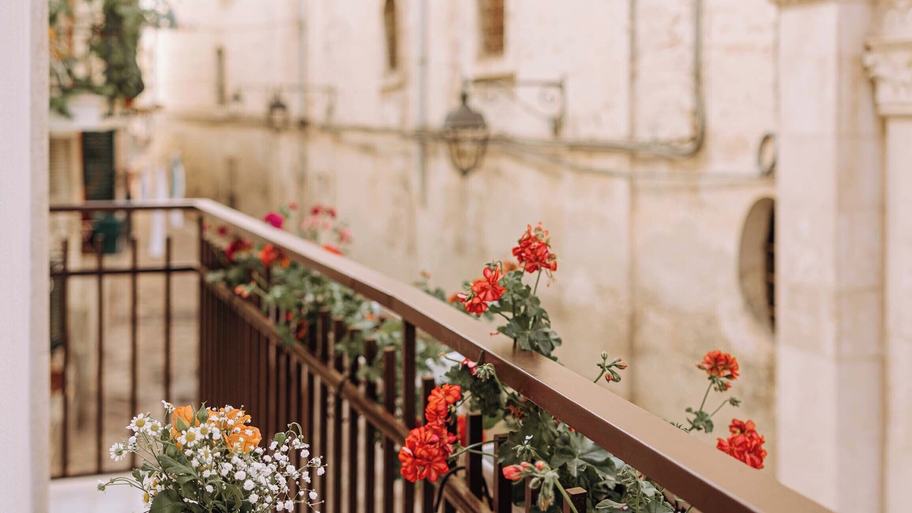 Photo of Others in Centro Storico