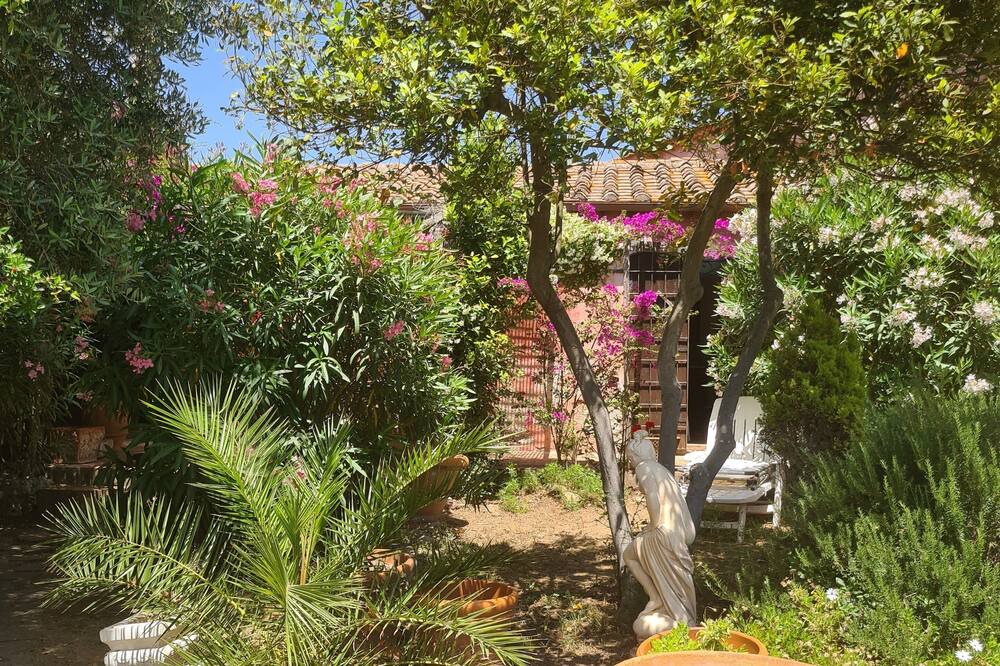 Photo of Outdoor in Ansedonia